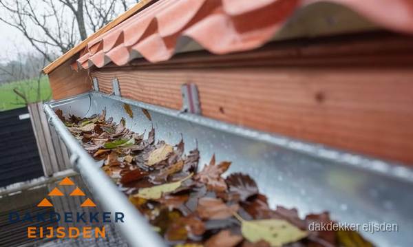 Dakgoot vol bladeren die gereinigd moet worden in Eijsden