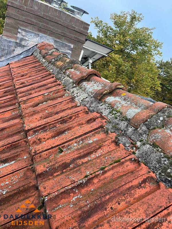 Verweerd hellend dak met mosgroei op nokvorst in Eijsden Verweerd hellend dak met mosgroei op nokvorst in Eijsden